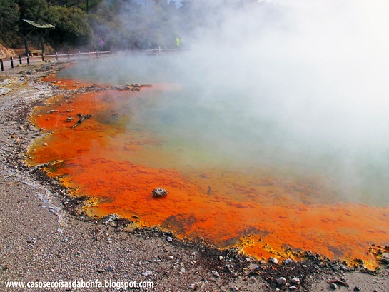 IMG_7082%25255B5%25255D.jpg?imgmax=800