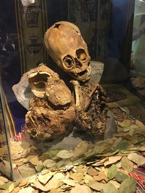 41991130_10216573766993192_2450071060440