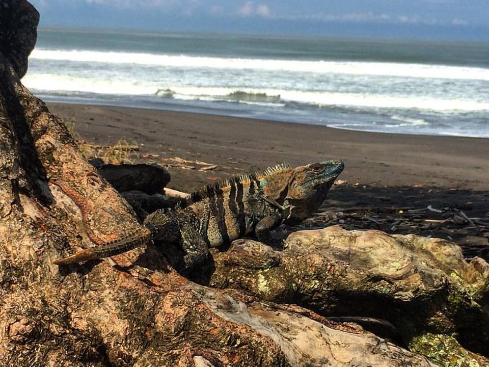 19875440_1390833514343070_1987843507108110543_n.jpg?oh=9e3719feaa5816e66e8cb400fb13e1c0&oe=59F71933