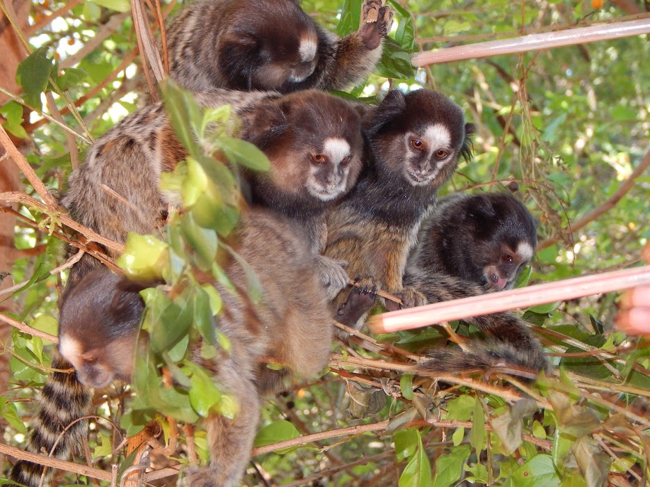 oaynIaDeDYufwl_z-rM2yE2HDV3LtSql_MeA2XTl