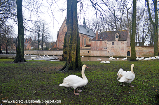 DSC_09082%25255B2%25255D.png?imgmax=800