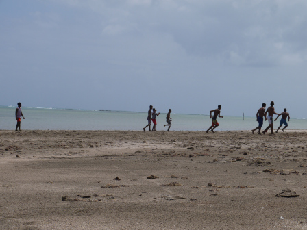 p1010172.jpg?w=448&h=336