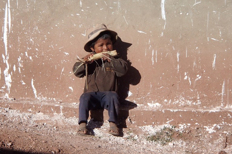 p5060008.jpg?resize=768%2C512