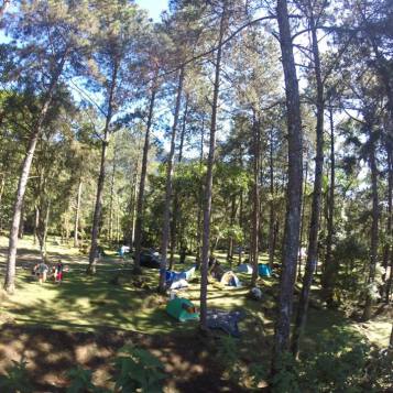 12931138_1379213525438684_5726321445867016247_n