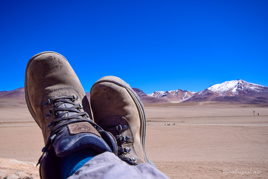 0c4fbf1a88897d008c18caa4eb80def6