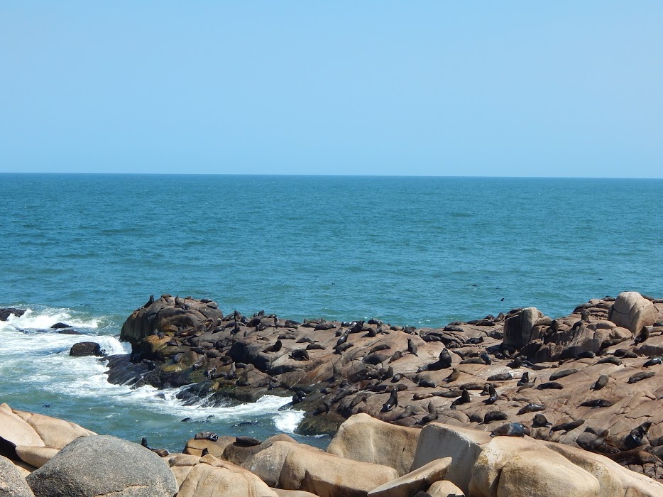 NSJgmzqHZpL00rfNGL4JsNQRPARe_7YqShAbkfMbVWcXKBgA1S8fqo2tfaFV3_glyYDTTubeSLkXVUE5EM1XuyfIETyRMvOv7qdmQCYcqLl3l8sAwC-6CFGaH8nfhE-FWNkQhDJJq9yTT8EgCixm7mpdm7RVkI3ezEfjJhlnuqHtgIVo5rCwwXaW75q_-RpMSS4LUvMTGQh8jd-5IszDC3ZLodqSrHNQnCLkpEVjfrDDQaQXpnKsXVfbCikD7YN-J59WUu4JXex11JMkbor18alLHB2D-_4lyRAD-r7A2N6tP6B83X67SoVU6B9CGteBoaKm1b-maWdSq_8363GzW7bekaxOYvEykta0vtODGbQzKuhKeHzg1C84W-03UjIqyFTTso8MwOJKzcIjEELhOq12SDg3TG2krhq8PVXClXHKc0sxwkknZ0WYC-vBFiHOhtZxBrnY5FhBj9522jAH94jHW88fPU7aWzPH_hIthLuxW1I53iLS7clcszHzuibQnK2zmW4B9p4e9DbOb5G_74ySgd48I_I16dOKeCo2E1_CWO5VsaG3Qg6TLeh1jlZ1GGo8_nvRzi1FrxOearx-G17lnNVx6ymhk91la4Bo5rA9yjp9kFjY=w934-h700-no