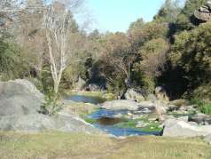 dscn1054.jpg?w=238&h=178