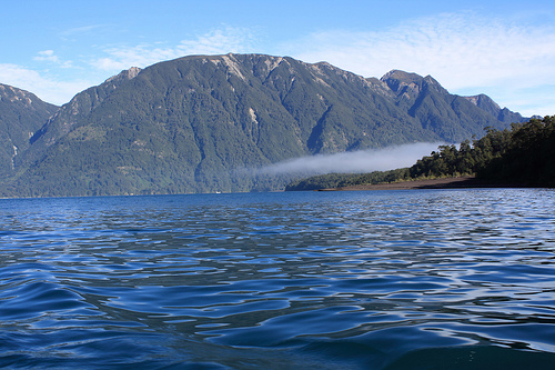 3467533612_dc0c13f28a.jpg?v=0