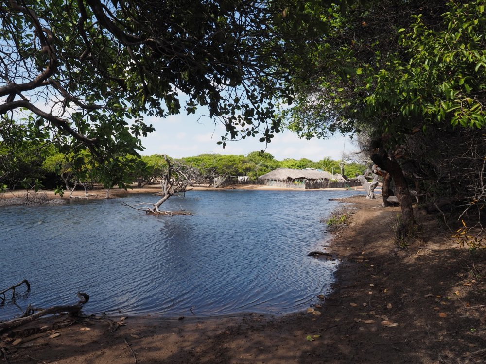 AvE9CY3p8E8mn3Zeb7sMLedkNIHcd0HaQLUX89C9sEE54sLnn-rNxIDCpgWema-5AoIoxgQRQFz8TWHEJIw3zihxEOG10LP75Y1nOcICk7cuP6NydLAW2M737MBrKO_2KsbqgWw