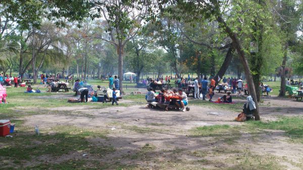 dsc_0036.jpg?resize=600%2C337