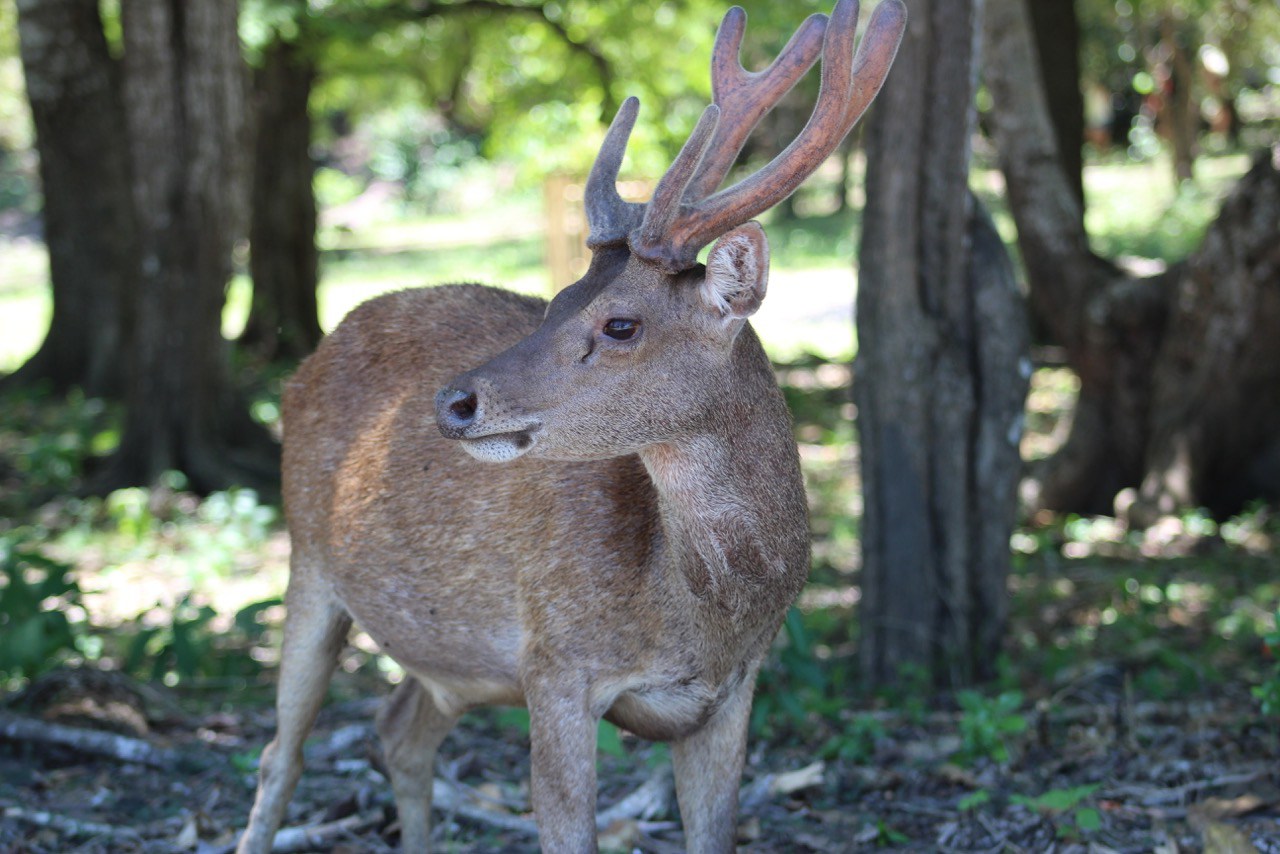 IMG_5732.jpeg?w=1280