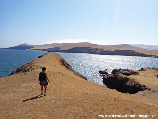 20131229-115%25255B2%25255D.png?imgmax=800