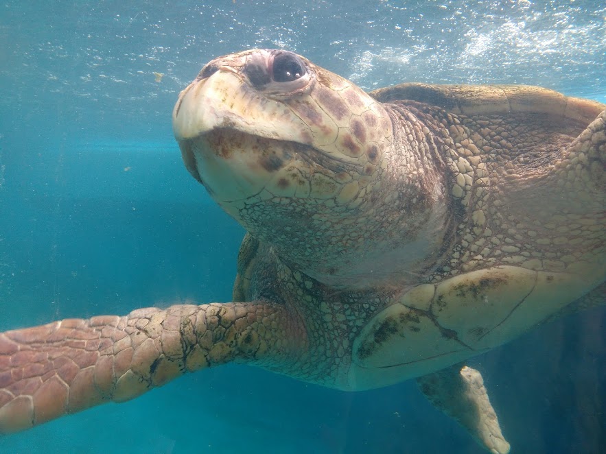 nTNrmmT964mz8-HceTbUayp5zUIs0GltNJG9TrRC2j9foUHA2L_HUXjtnIJxMus0hSa-H6pI6MWW4JQgbl13azENWsGyam43sUajdjdtAISlSvgxQ-IGOs6p_gJGM6g-2ZZJf4csDpNG9OY5jyE5tJSbXTPnPW7zhySkazNi8xoHnx4Iu3-2TfiCC_CRtpUlBQIgComLmC-F18JNkW75Q4UpY6fnb-gefm8X2RpJgFGp_sA28G9V15hhpU--q9xuP8XflL02TuVGvyQXmyGfJt8mCc5Aw1BvTZvobHYGAyNIudFmbKw5qaAsTiGBgcD_2UseLHqo6_7LEnSbJ3og7qVzs20053S4gcBu998BQ90ZGZM3gBWgy4LXsyr97zLm-tqDlSZGLm7ecZ2JzlIceFtuBiT6Kr9S862K6IxlS026Su-i44ZNxf3odAW1lFfdPaAc_bHu2DpDWqUkUfhSVHLgAiGOGvwZazcFca3JoT_3lfZZVZKiQxtDfCY9XnPxIVh3DEWgYCAaNml-XJhUddqaRwwh1Daj5IrvIBUE1TtQugIEI7ZsC8gE8tC9a37JrWRWe3kHNmTxYQXZIIhxeDmlB_QXhENZv8W4ONR4z9QgATSRQoXEj9wDnmM_W66E9vHmc9HJKndtDc3d1qqsO3T6sbmRKaAjvglpocApo738Mg=w883-h662-no