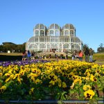 10-Curitiba-Parques-Opera-Tingui-Tangua-