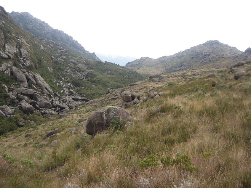 uCe6iLeLz0b21d_XAv_9iZQvuIOfn8sMW4WSkp3D