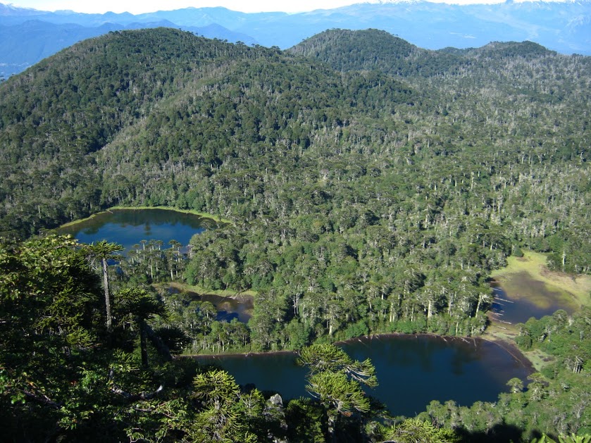 mevI4hdvCiYlYEcYIaLrmBVgqevJOwzBbhfx5-XYPSiiBbPr1__Cx-22NEMHfcKXFmrpDDab8mCau1JrBEqEIboLtenxTlE_wHc_Ficj4eNoqOU2XaOtxEig_Og-WNSXHAlGzNTNz935hLJGz2HvrAJWLCv8lf4Ma-ZI65lKcfmAiuG10SsBCQIH96_9UNZloH3IsyLM0o2aPE2rrPhmtrzCeHKaZuxeCnepm_xby_XDZzwEQ9wf1hCLQ7bNuEvg6JqxmoXfpcoBRfmLLgSE-bFS5N7T2i-kIZmaxgj7KSpH5RQbQ3aDam7MwVZoxAs1HZder2vMEqbO4H4FraGitPgphTwYF0rJgLCUcRgqYAiS_AFDGg8rM8hsdQOwPO3VANhqGkWcGHG9UZHoBiXlUsixvhCNe1Bs_sXiZ8SWX6tZASwVSyugqS4noXiVQwhh8NyreQXtcsl4MqRkJ2Er1uP8wj1-wZ4TzD7eDHC8yLFm6JUVrOxKExgCKI_vcqceD9UtUxc6_IBBn0gfd_1ig3OfsZpHbRukS9VeMkJVgwmqHpFIuczNL3cPPHn8qO7S0ARtbR_hczuQKO9mrkLs8WalM_wMHNmQUG57rRjt=w839-h629-no