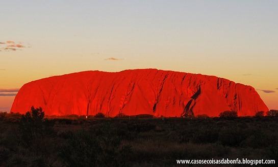 IMG_53817.jpg?imgmax=800