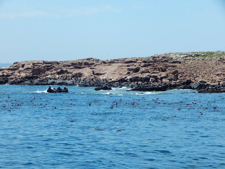 zOfTjfIg33THK9e6KS6xpxEvzoeQNgAIZvVztvpP-JLzQeI4g_iABd7E3wafT9piDOzo3cgFMEznZOIjvOAo_z9wenxbCVqVUcrjJ1z56LZw1H7-9SPrvEMIpttxPjW2k5BWjlXOi_vS0zSIH7FypHSfWVMPuILoSdf7D_uYL5qv1dfKIEJzCedqr_snyFDeFRuF3b80YE_Yb_gkrmmpeskrovHEeXa74_ovfaJ9kBMEtEm54W56WT1hE6rd_QlcWes9uuu82PV0GS5t-KEYegR3xbDOEAOXzAvIuJwDNlimIWH2Vb4geicZKLpkIGdwLwcLqSGCJtrh8WYXDinyGB4ygOWabFcTU3_tXsFEG3XvVSTlxr2hpV6XdA7yolz7M6uYP3iTTgqora_qcTfloFZZjPBEB3-HkvafiKhnhBQL_GJlUQSSVGLNb2B_Qm3zLnVDtP24rvN_g7VbrcynoOE5Wdpf-GO-NU1CjVzm398uIbrtm2oBi7YJBJsbSfFcq-tc4YCwRZ719645M6FPsKnXvnVxSg5DBWEi3JiofRVupOgZOwNtAlpVhr0njYMhOr4mJ4PHe7ewodtucVnevzqtaS55QpfGDCUAlUPQrlrdmRqLFZ_4=w934-h700-no