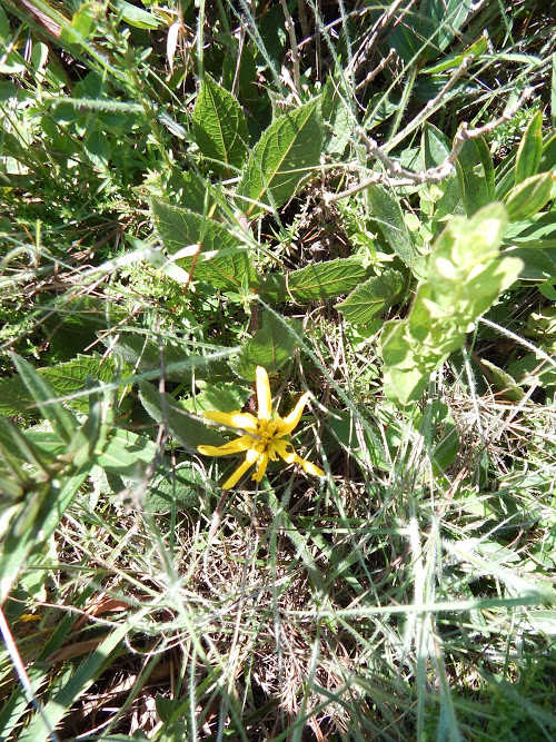 n278eOMMz7Od1pDKCxMH4oVQyEs2CpbfyGCZHm11hHlDXVq7YGww1JxdXBgAnh0LKnIZYuKd2B9mMxgML75sg2L-DMSnHnGE3ks_XYNIuvszANTSuDavbqQs0NfTjVs2VzC6fxJqqwxsqb30tCVqneDyr8crVLz_qikssRJycWe5Z3HLwRaYOiZQ0fD4RYYCHvCPIPJbQPvlktdboFT7FX24YEHXe-bnH_AIiQYpKzxn-GIfsKxEnwftmcaL7msKz6SWV1Xe1Z-3vfUzir5B5gZDv4CqSNiwjYGWE7yg_LEJoXS0ycWNQHWLC8-zUXaKMmXkNqJx9EtiLCho_By3G_dO_AQTB1hBpzP3Xu8-Xg1-yS8cUeYjtt3yE92tML4C7sZgflk7aCwjbCK9WrxfkdrEPU7gfn5dIWJ3XTRXyf4hTt_GH-c6_q71_AMCDQ7QtpcxVM8kgFOYRl5gbD2WuYTKqpPQKpYDfDMzrn9QWc-JpSlcqUolPmLlrR6TX6mZLj_8pjt_-zMe7IF1cpwDZ06LyVGWKjDtpmhhWW5ApYgKvHMuTBNxJguBwX78uAv5xEzx=w501-h667-no