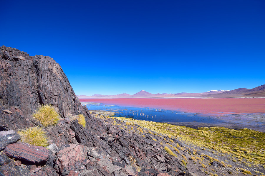 b77938966058786f51e942cceb4befed