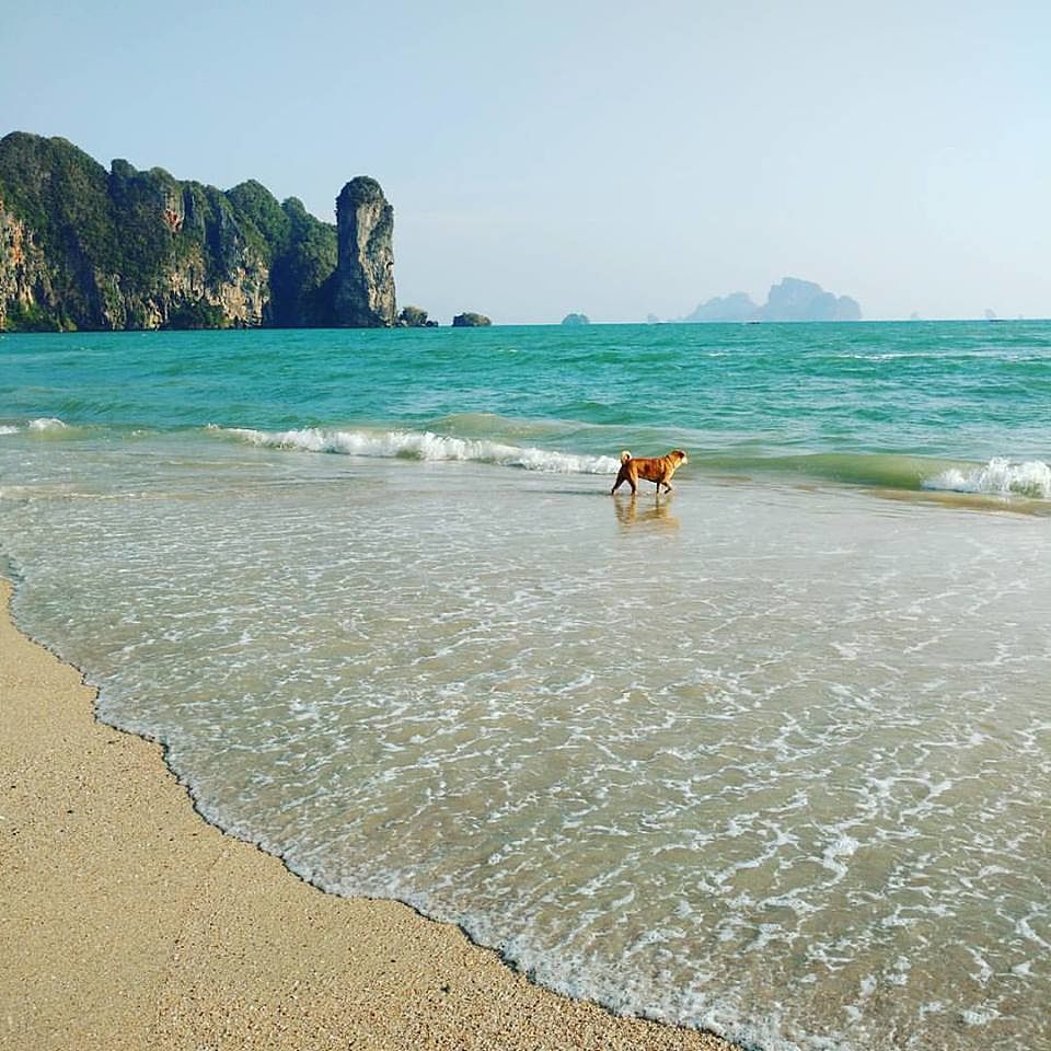 22_online?async&rand=0.691368098487652