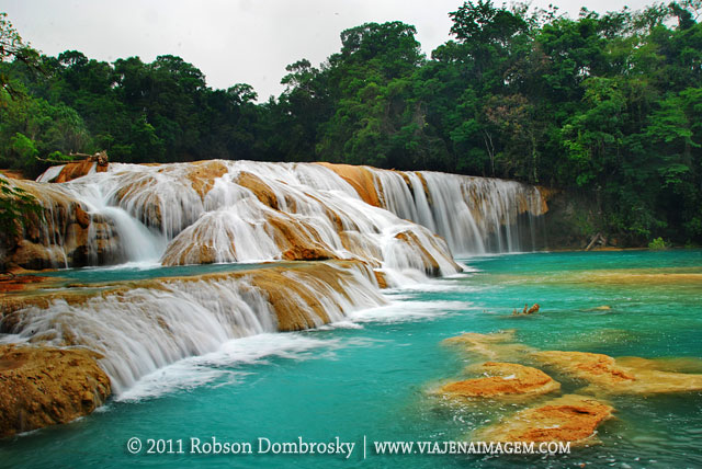 agua-azul-chiapas-mexico-3.jpg