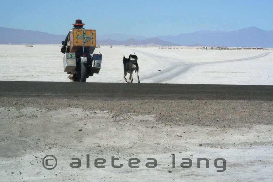 atacama04.jpg