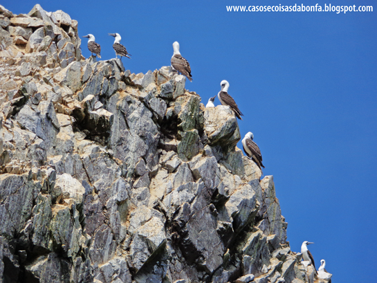 DSC07470%25255B2%25255D.png?imgmax=800