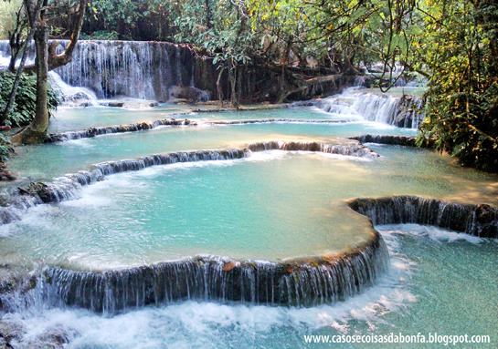 DSC_1803%25255B2%25255D.png?imgmax=800