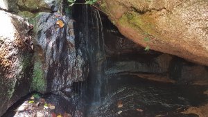 atibaia-pedra-grande-morangos-25.jpg?fit