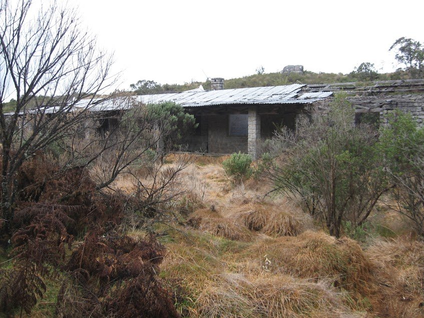 LORAOYUPeymtZWdNcHAe9CjSqanOdJ0ddMppFS2z