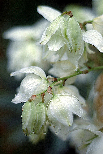 Caverna do Diabo e Trilha Bugiu