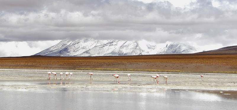 c2fc93_6185b6d966844635a8773dbec5ac786e.jpg_srb_p_801_376_75_22_0.50_1.20_0.00_jpg_srb