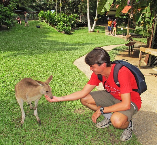 IMG_6129%25255B3%25255D.jpg?imgmax=800