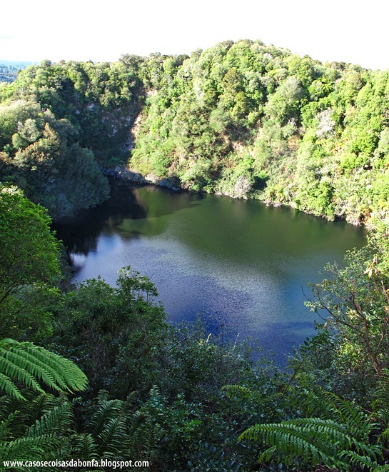 IMG_7141%25255B3%25255D.jpg?imgmax=800