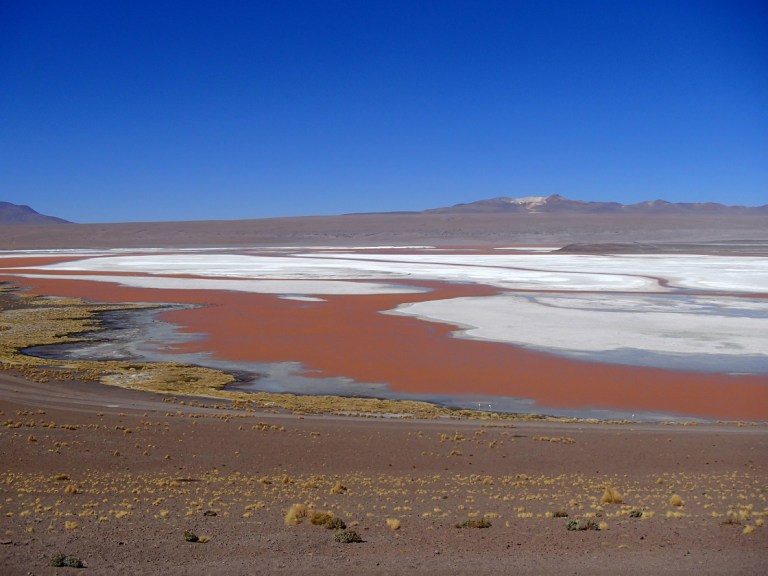 p4220113.jpg?resize=768%2C576