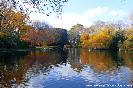 DSC_0221%25255B5%25255D.png?imgmax=800