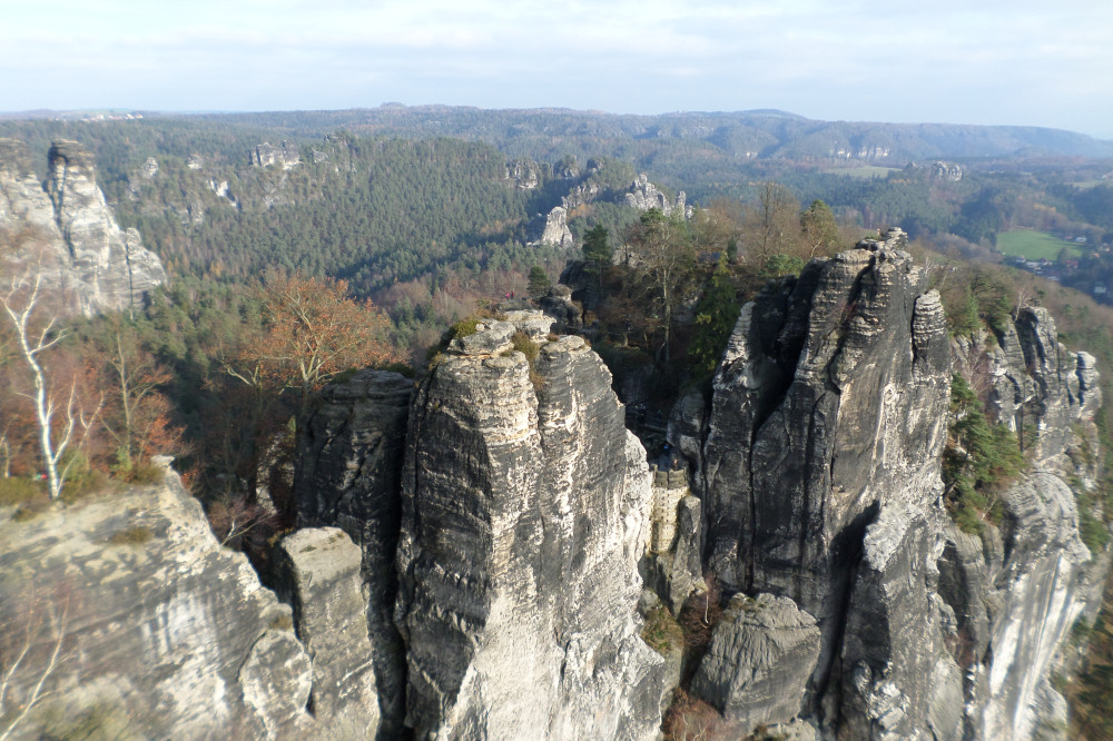 sam_1584.jpg?w=1000&h=&crop=1