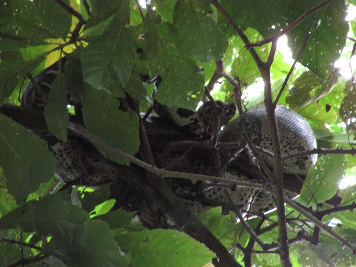 G5rhJqAN6EsYZFwk6f6HR_zBoqS9NSFLoj0MAGHCGtX6ue8EfUgUJXdgiAkAEKnKoiCwZ0zs8cDLGzRBU8f5eyUtWy0QwO36A76vOgkOLsdnvivNU9XDK6Kl8xAa_nhodUHfkR6nIr68NtOhG0xGfj2AWBcRoUZuJikE57elhlZkudk__vQjn91wc8Uft9wXYEXdIvRkU6156RYpCQ5sONQr48-48hdzE6pzsmNVrZHBVJxUCH99dwEhzfGyieB3kHJronslOG2a1JB1O0hoxNDpifukRQ2EUMPAI78MZ7NT_tXlK6IwKYPrRZdfIL9i_W2QIta3028x5DxBJKIZV0qM09ruS8S86kQ4DVvgLyjSDndc1jO3gatZXA3e7rpqr8awzIqysziaxMles55Y_dYMwk8UTLcl0yv4go6uRO-zZrOonmlQIAdrkRbL9VoADTRUlEF19mnR7HdsbJMZND1PSjzQGck8xe9NBea4FSRkkSEAxgfjipQ_MnpC4aIbeh4KLayW0nVvErOuaDhacdR1TUiYsGyYDkJ1c9hmBGq0UzR948MRAvpvk2jcR7w=s1239-w1239-h929-no