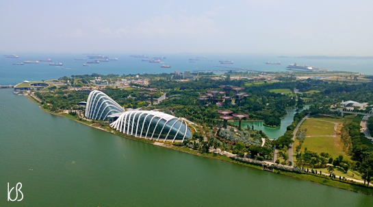 DSC_1108%25255B2%25255D.png?imgmax=800