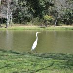 21-Curitiba-Parques-Opera-Tingui-Tangua-