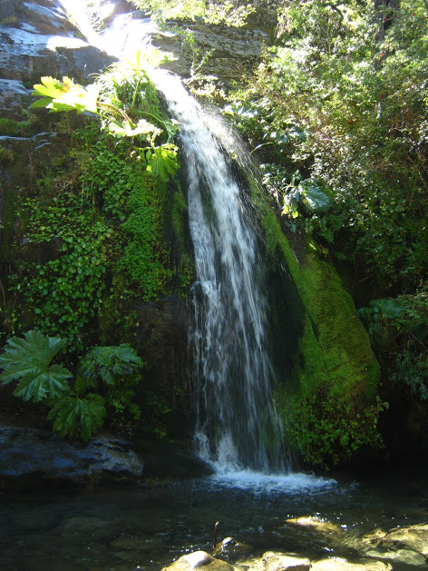 RXo4RMw1OsAqLIYMpat3a7xR6Zg9XjwVslJEFEazNInTpazjKddP3vs4Cza1a4-6vJoe5vGUY6RWQrE1XMQ4WsNFkM2ZDn995RzbLbL6541KSlzzTVKWkX2bKZTcycOjYVtOLCqtKFOhWgTCfUwnVhxoHfLc8NcNGblFC2CXTeqP-1UJsM8sLxcXfMfF8UZnvTxAfx5QGXeACORhn40tiPHy3xxyZPYYcQQb9r1-AwgqMTeYFZsa-MW5bACVFiEeYl9RrffRXjKcNqgdHjWYRFHJ4Nof8Rn2QEMF7_WD6F2tidn5NrfjypKHMPiSeuVqhrh321-n5EthGoOPN5gUShaYqI2TPkwUU5LPLCmoyg-5PsY4GpDla8-bKn0e8oUk_2cmK-zoFDXW19yd0CWxrLTD0Mf9iVvQ5Q_M30OKE0wC2oGkvPVmv4eQLqVngtpKMF4Aq3KNCKOoQHKtW88itiPKTP7RIgNmjY7MKQ97wHBRx7IX781mApwgTwFzpYFqQ6ivjiRJOvNV22snC-ePuM_9kZIXKPE08Tq9JY-olIz-g-mroTRQoHa4s3l4fKXRQvAqz8s5IsmI72CasL6boskdRKna6zJZz4rlSHCy=w472-h629-no