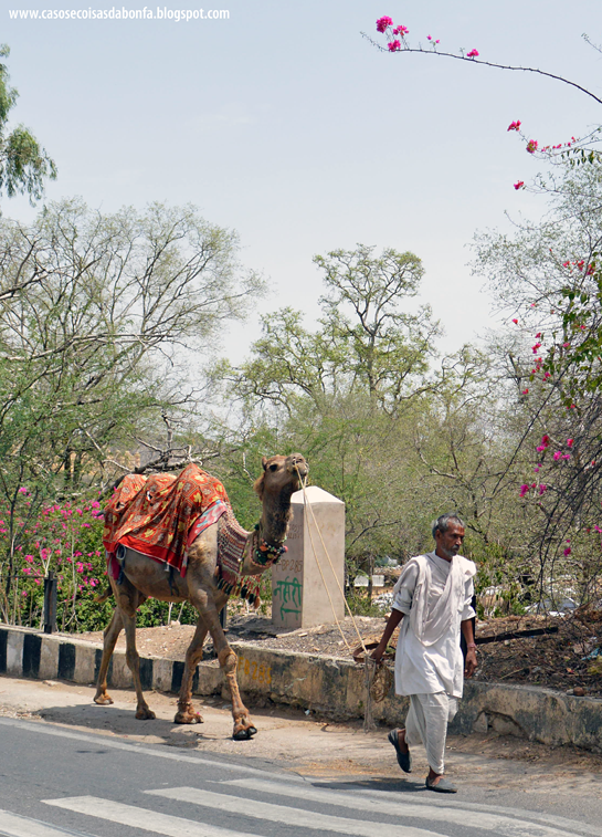 20140515-156%25255B8%25255D.png?imgmax=800