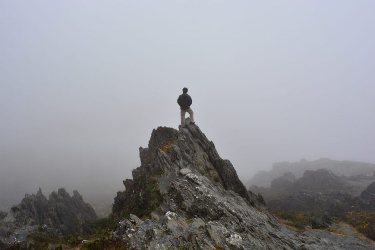 DSC_0125.jpg?resize=768%2C512