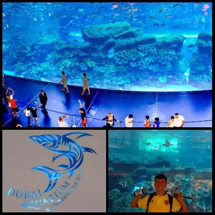 13599031_1043870425695455_7684?async&rand=0.5918796990744142