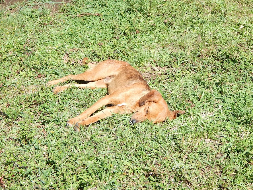 AES5OjnXM1XjjFoUSNST8jY5Et3oDRvzSHlMdvnrANbWl_tmfEKw_-lcOOKAnWOTPB90n_FKbrgJ6PTyPdpp-TMskuJqKbiEFmNzC4P5DCNERy7zD9PcUEctogEqQEohTuL0M7pAgphBgC_elkrhOitu-043HOhBSonY-Pq3H0FXxOaitxawJj6pz4Vfky3VKmuZhRbMS0fEnCW3ApcxIMNwt5tfL0ssn9Q2glo4T45egsJF3xNhrdH0lOiDuyZpDXzk5qKucyonp6vbMP0eLZuxRhP7RW1cxZ5O6jYjzC1FR5KVYfiZUG4rf-KuTdFjQ87di2DeUFBieoDCrFUDnPzTJfuJVHJd90iQ__VZLduwIwD0yRTurwIdnspNs3ExenwLhFc6S6avJBZL_mdFwT4N-UTqDixfC-BYznRmau5nz1o_IS88wZbPrubegoBkjr54KURtYb8_oFSbnI6Jk0s0rfqJlyTy5ViRlgWGJibv_Vh1Xy_MEOm6n6vU28jFKNFEARdwQrFjrcGbkAsmJmDOf2Ru3-cKfIMcCqU9TNrzjFjhJxdVbJ38C_RaWVtej2NA=w890-h667-no