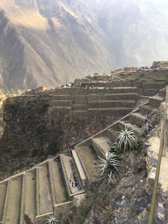 41848818_10216573768873239_5572679796946