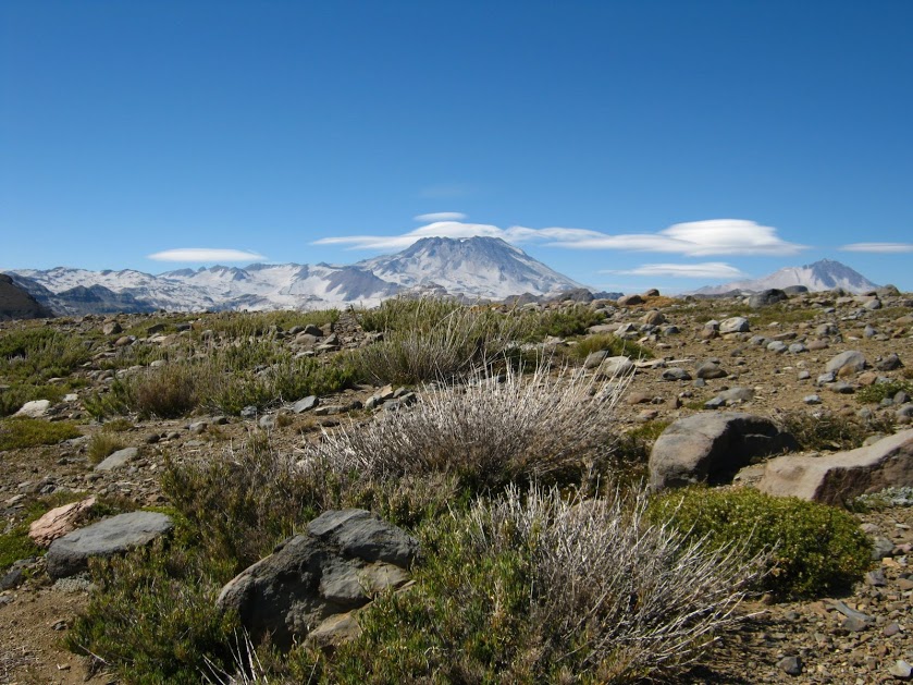 0M1iUqKmV24WSE53pDbdeSoXSDYISQOZkDSWOP4bOdX4nOrgXU6Z_qWbIIDQlmBjiBYDgAAopk9pAa9tZopkEV9b166LeHAh37UdPagFo3bq5tHXAtqfIuwpBRILOxORyVzkfGSmzGPZXHfkQUvZ1G-97ndu2FMMpwEP3-E6p066aCXnZ54hPRBt_Gg17tM6f9EwGidH-S6gOjs9vkCwauDVamV_eK2OwPfP1t39Pp7coDglfrKFkj9w1WpSjf_FkCiHeph1aThpMUfoftEEWrQr92tizgHqDF0ZmvroTfRwWxU9awLcSbuqH4cyF0adyfU82CoeThkQx0QCOvqgVAeOm33fBE61VZndy8k22Y9v9SHKpZfy1QC5AxJGEJOL6LTHBnTph5j-kzPtlqKUvuOWSijfewOE9L1zbjk0l25VSrNLdFBAAE-ZTj-waa3GVkwoOfdgMDhJQU1jNuNoI0f0LlByl_SwfHnNWzBDpRb7JQDwPylh-EPxjeBM2DiE07EM66tHuvaesflS8fZzhdSD4CfPAyx1VX0e2CrLBztgOF8xMcATD5BZ2gRpMX8wKxwIiq-VQUcgVej61jEFKEToU84pYK80rRl02fPe=w839-h629-no