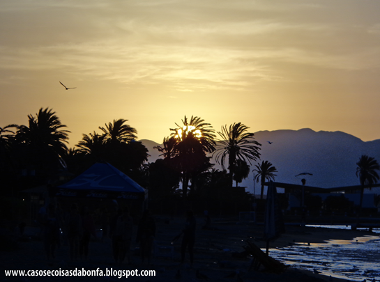 DSC07394%25255B2%25255D.png?imgmax=800