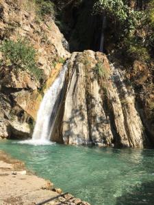 05.jpg?resize=225%2C300